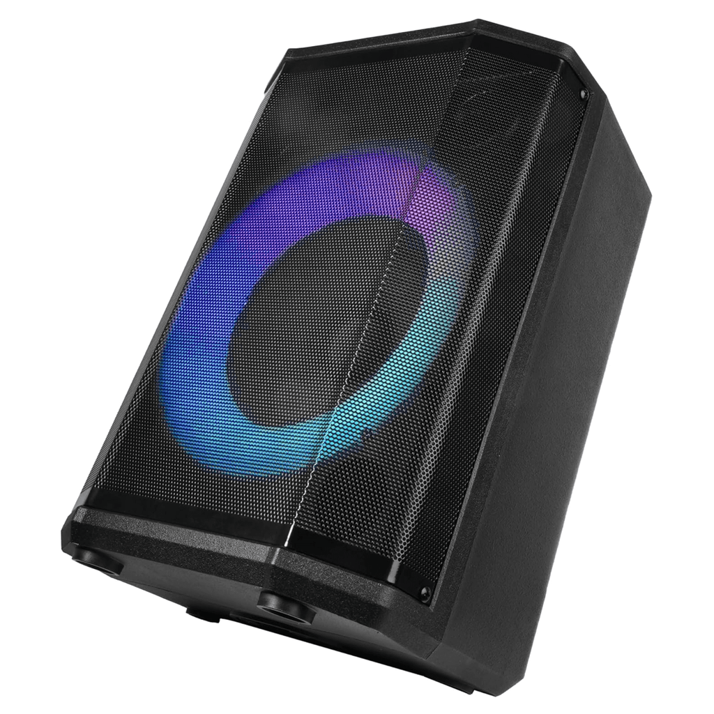 IQ Sound 8" Bluetooth Speaker