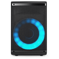 Norcent Portable Bluetooth TWS 8" Speaker System with Flashing LED Lights